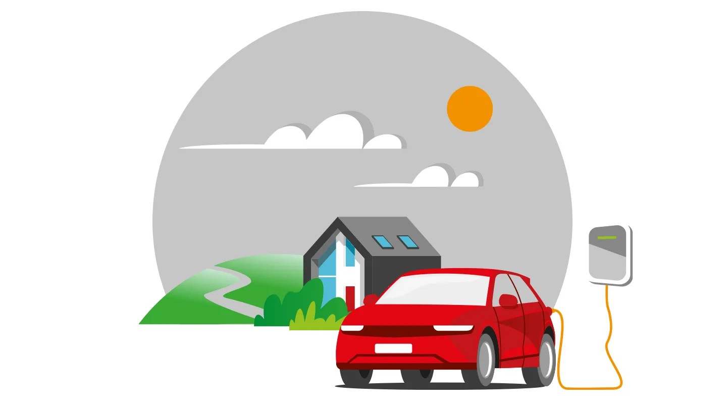 Paint and Interior Protection 
